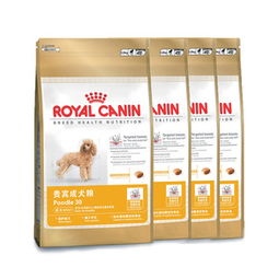 凌采寵物食品南京銷(xiāo)售點(diǎn) 哈里小寵，為愛(ài)寵提供優(yōu)質(zhì)食品